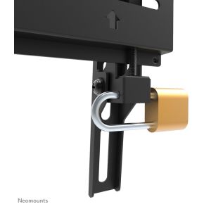 Neomounts monitor wandsteun 7 orig - Neomounts WL30-350BL12 tot 55" Muurbeugel (zwart)