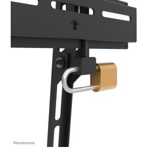 Neomounts tv wandsteun 6 orig - Neomounts WL30-350BL14 tot 65" Muurbeugel (zwart)