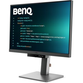 RD240Q 24.1" Monitor (Metallic Gray) - afbeelding 2