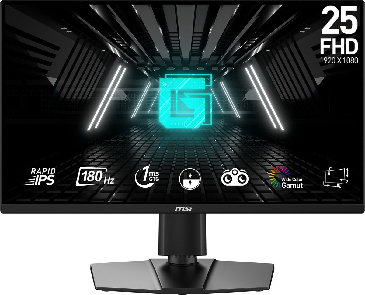Monitor Monitor Msi G255Pf E2 24,5" Full Hd