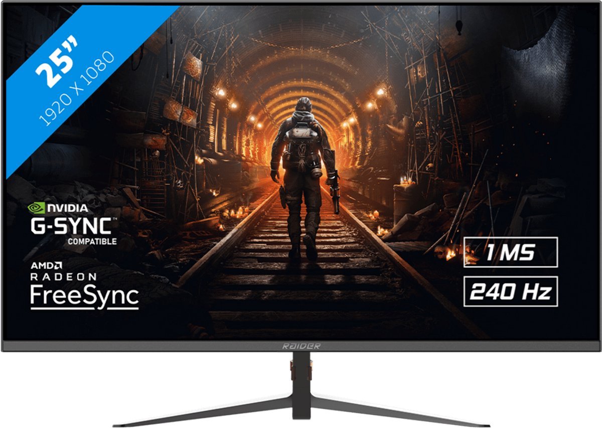 RAIDER Raider - Full Hd 240Hz Gaming Monitor - Freesync/G-Sync - 25 Inch