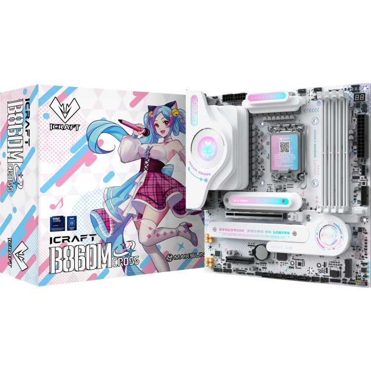 MAXSUN MAXSUN MS-iCraft B860M CROSS moederbord