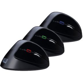 iMouse E30 muis RF Draadloos Optisch 2400 DPI Rechtshandig - afbeelding 2