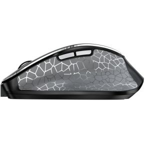 MW 8C ERGO - afbeelding 5