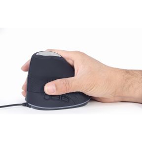 MUS-ERGO-03 - afbeelding 5