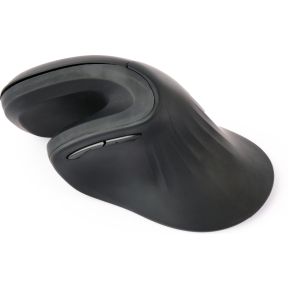 MUSW-ERGO-03 - afbeelding 3