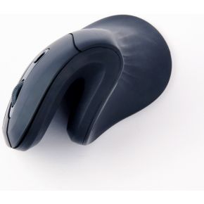 MUSW-ERGO-03 - afbeelding 6