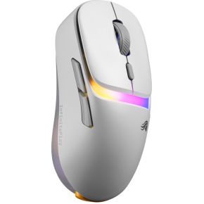 Model D3 Wireless - afbeelding 2