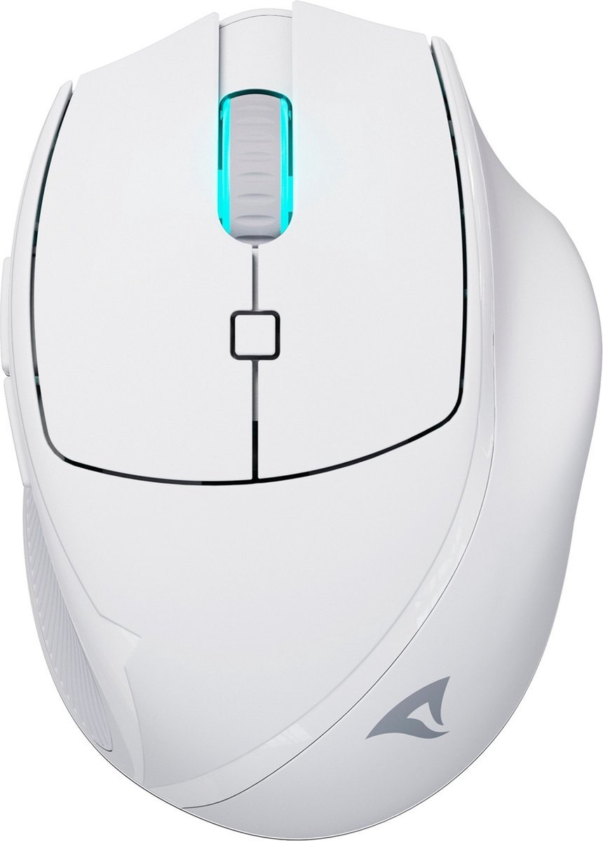 Sharkoon Sharkoon Officepal M25W Muis Gamen Rechtshandig Rf Wireless + Usb Type-C Optisch 4000 Dpi
