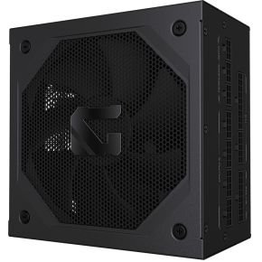 Gigabyte GP-GME1000GM PG5