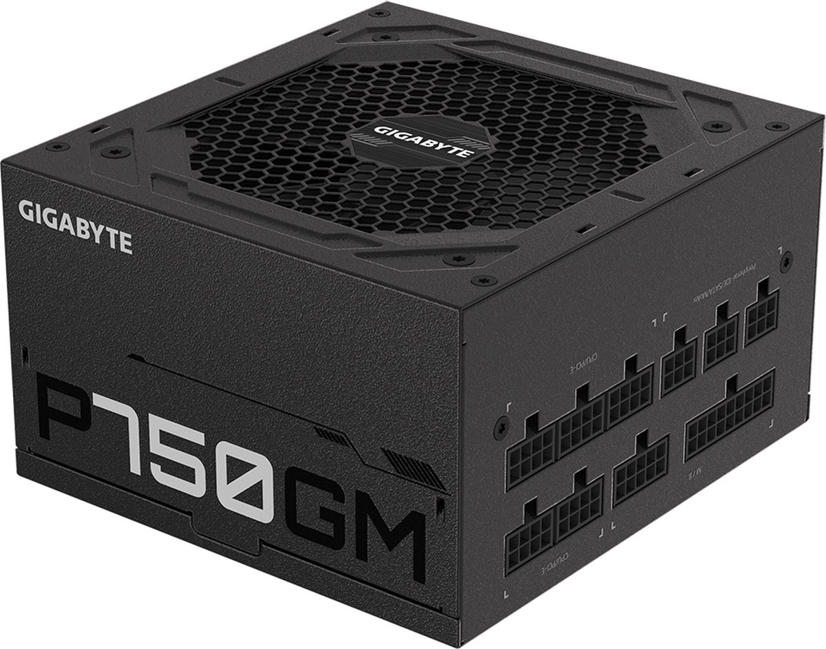 Gigabyte P750Gm Power Supply Unit 750 W 20+4 Pin Atx Atx Zwart voeding - afbeelding 4