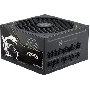 MSI MSI MAG A1000PLS PCIE5 voeding
