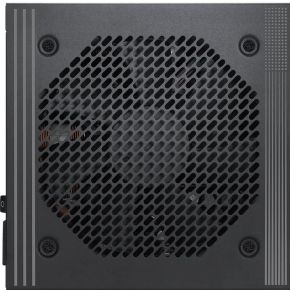 PRO A1000PL PCIE5 1000W Voeding - afbeelding 4
