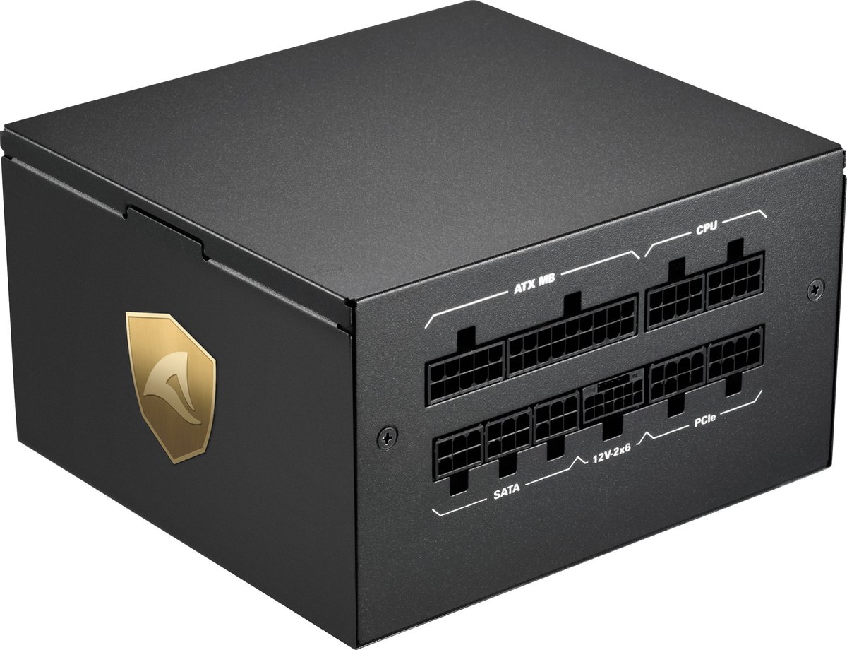 Sharkoon Rebel P20 Power Supply Unit 1200 W 24-Pin Atx Atx Zwart voeding - afbeelding 3