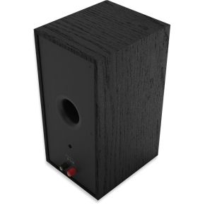 R-50PM Powered Bookshelf Speakers - afbeelding 7