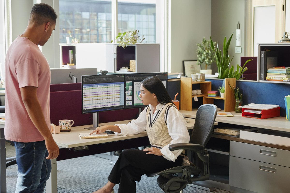 Hp 435 - Webcam Kleur - 2 Mp - 1920 X 1080 - Audio - Usb 2.0 - afbeelding 3