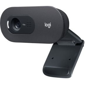 Logitech Logitech C505 - Webcam - Hd Webcam