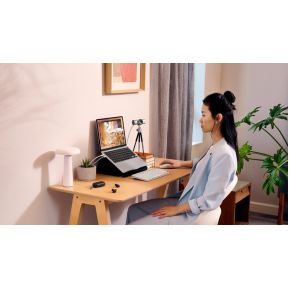 MX Brio Ultra HD 4K Webcam - afbeelding 8